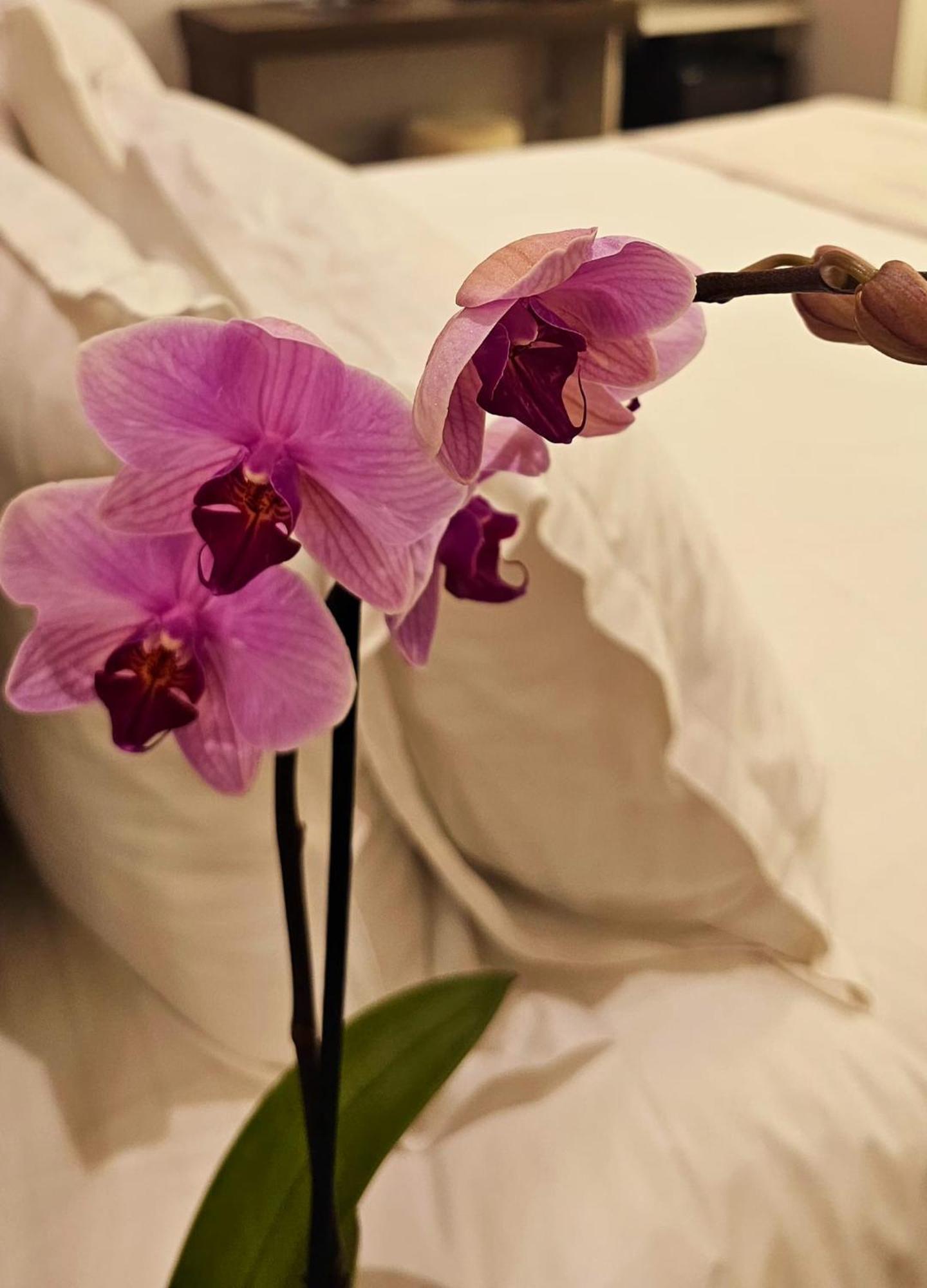 Stoa Rome Boutique Suites Εξωτερικό φωτογραφία